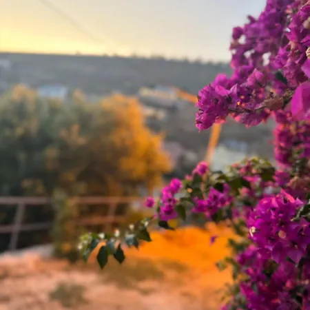 Sunlight Apartment&room Saranda