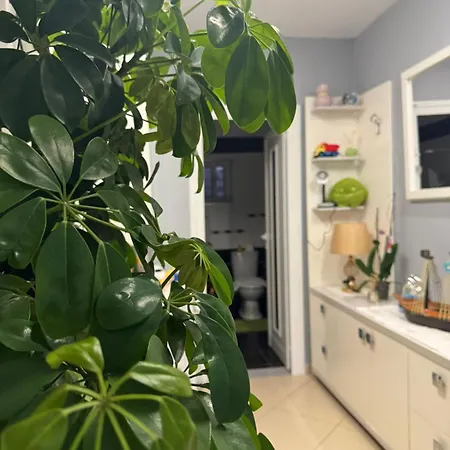 Apartamento Sunlight Apartment&room Sarandë