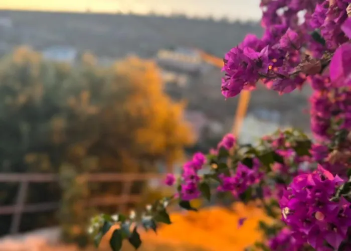 Sunlight Apartment&room Saranda