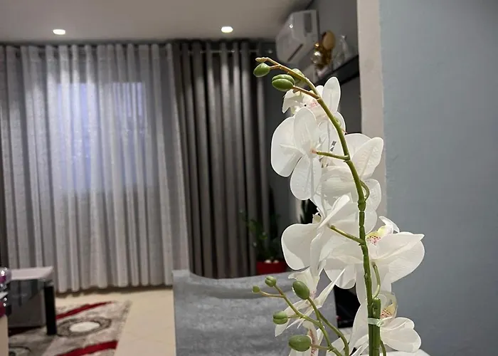 Appartement Sunlight Apartment&room